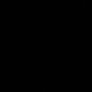 Meet your Posher, Izzy